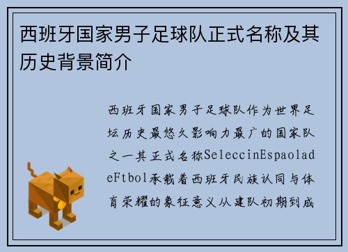 西班牙国家男子足球队正式名称及其历史背景简介